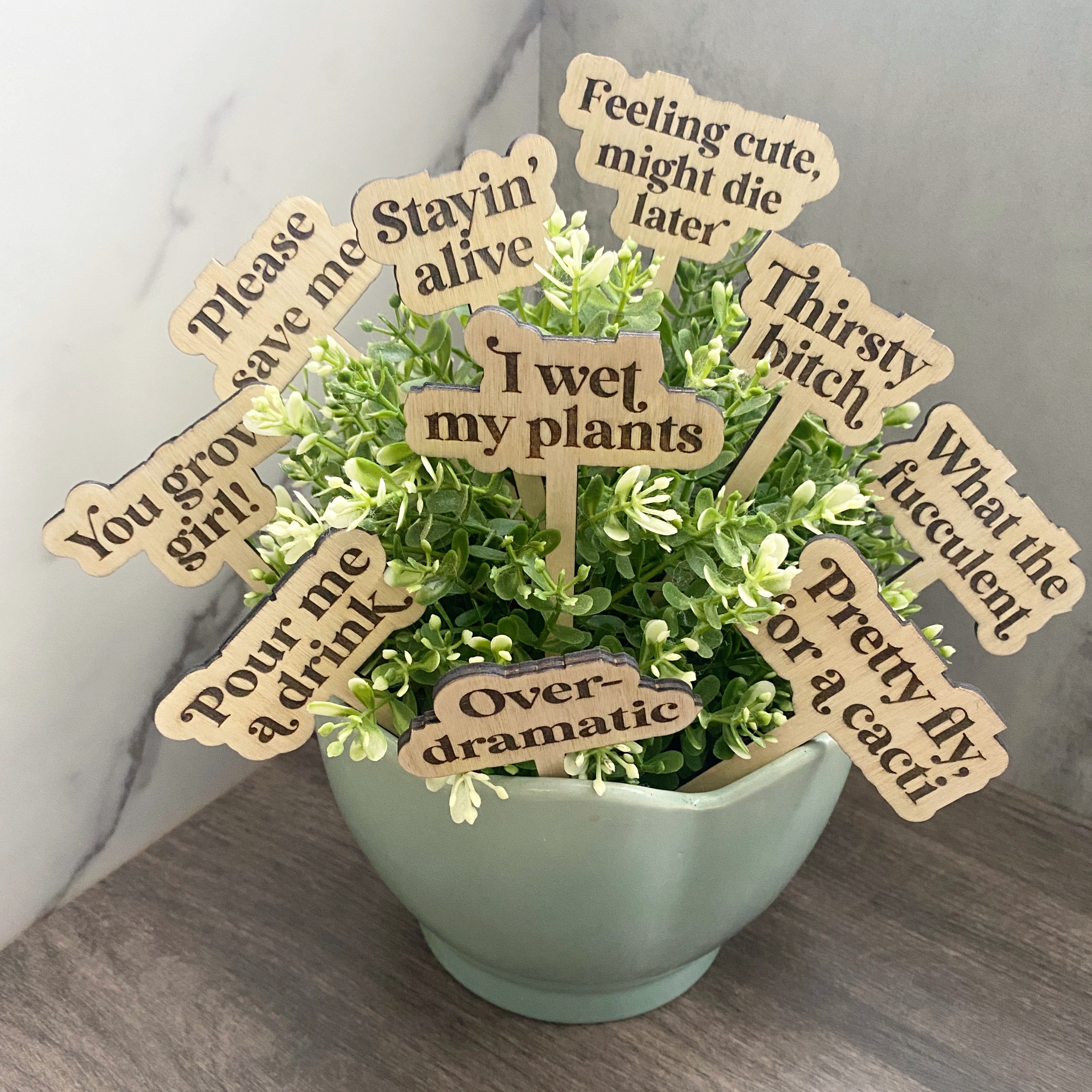 Funny Plant Stakes Set - Aspen & Co Designs