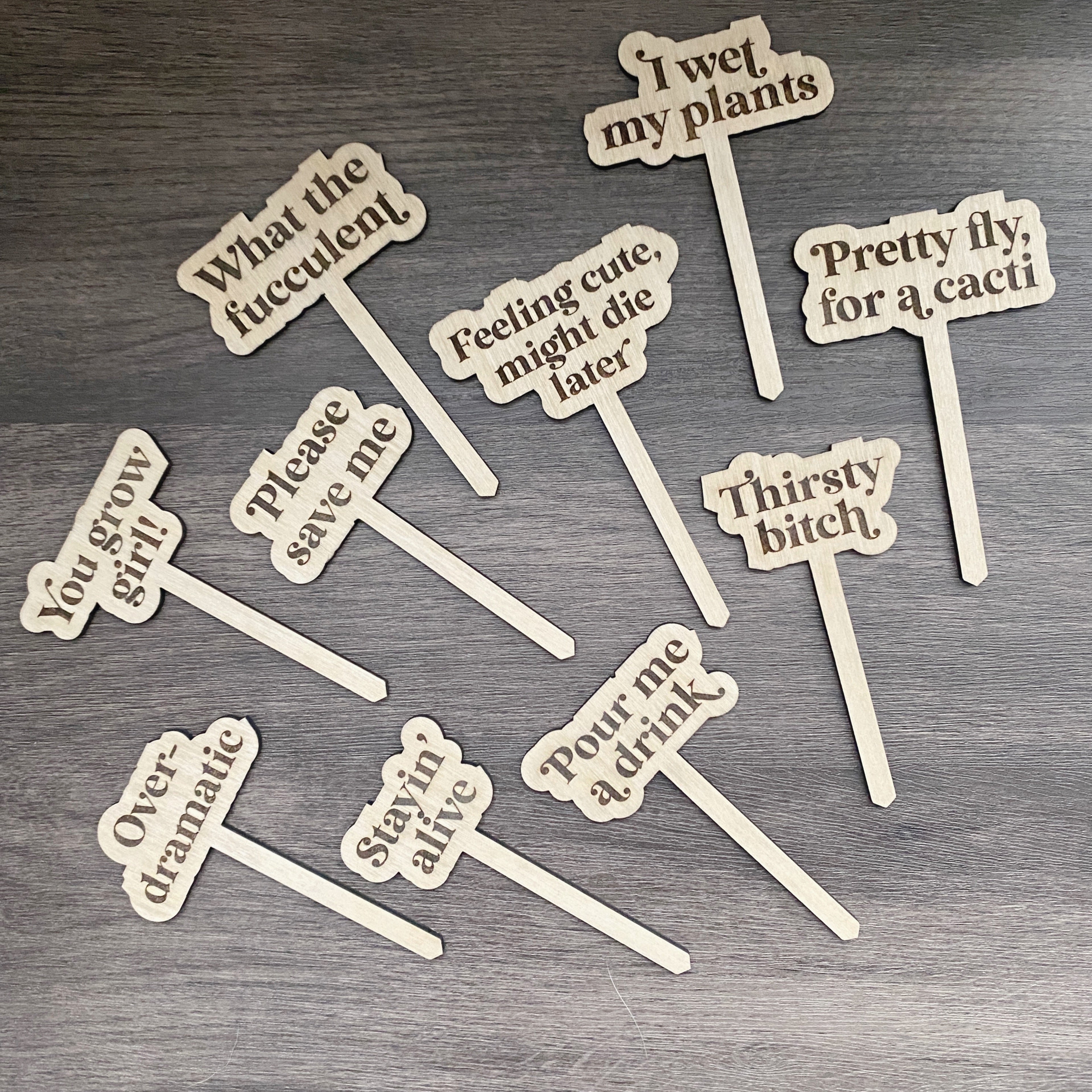 Funny Plant Stakes Set - Aspen & Co Designs