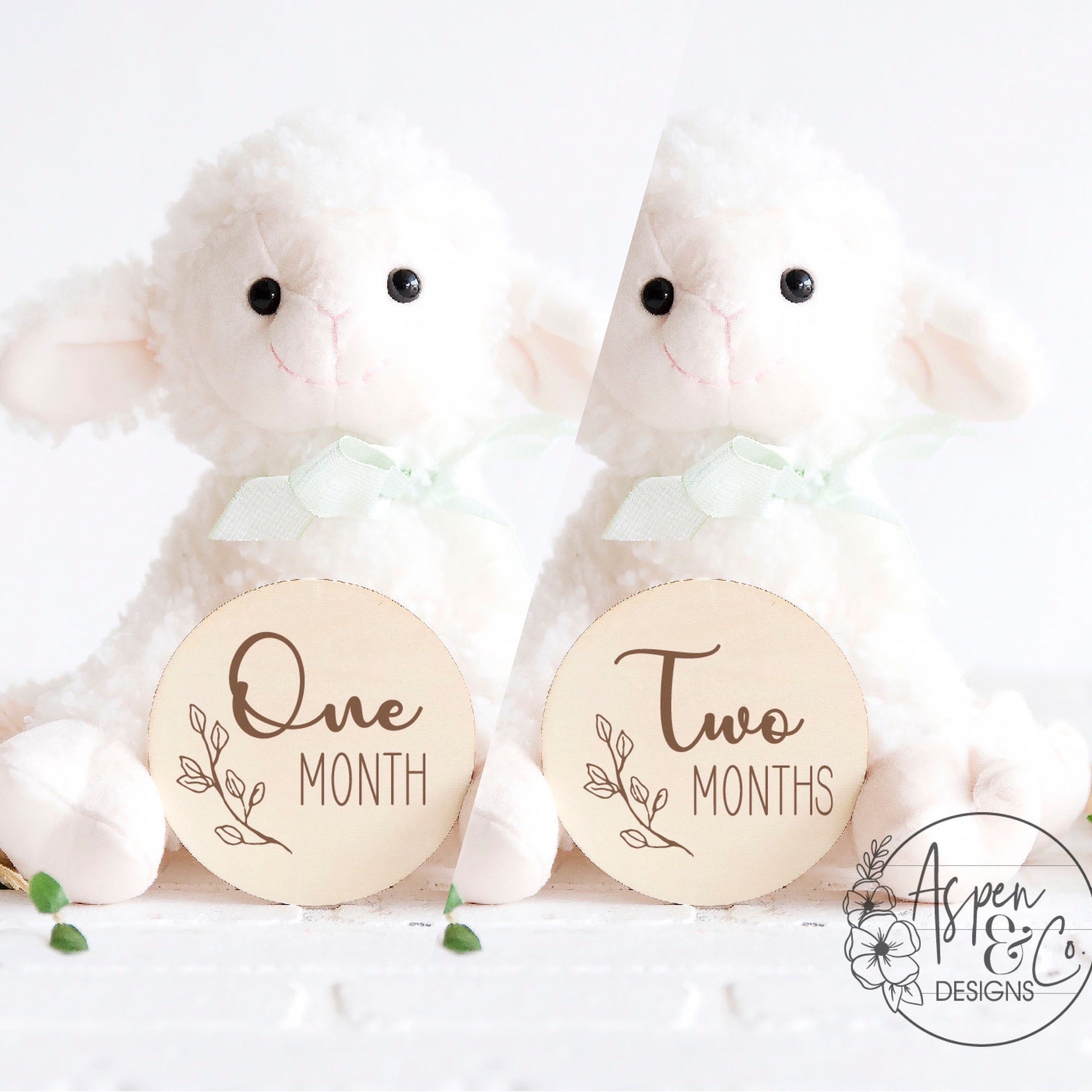 Baby Monthly Milestone Markers