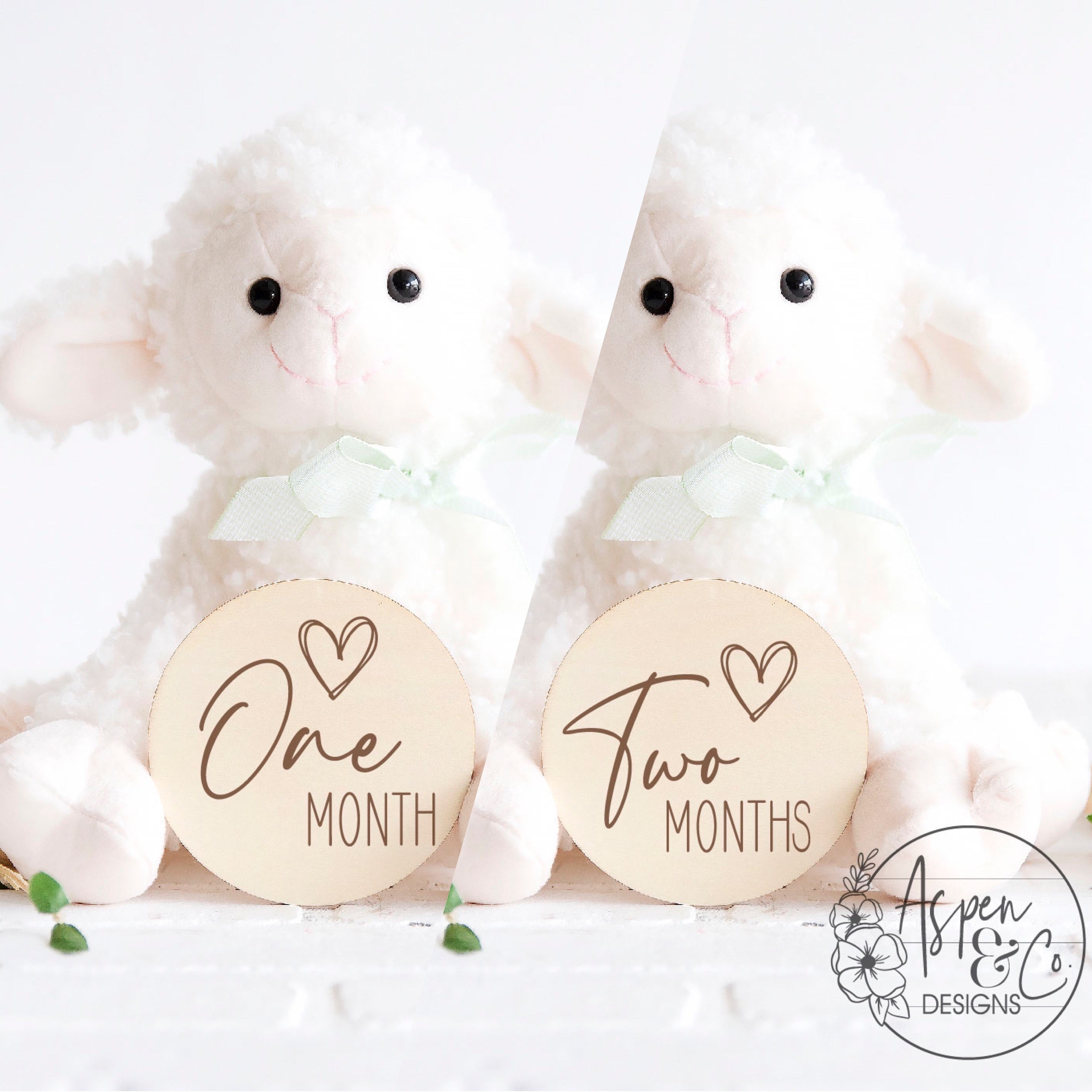 Baby Monthly Milestone Markers