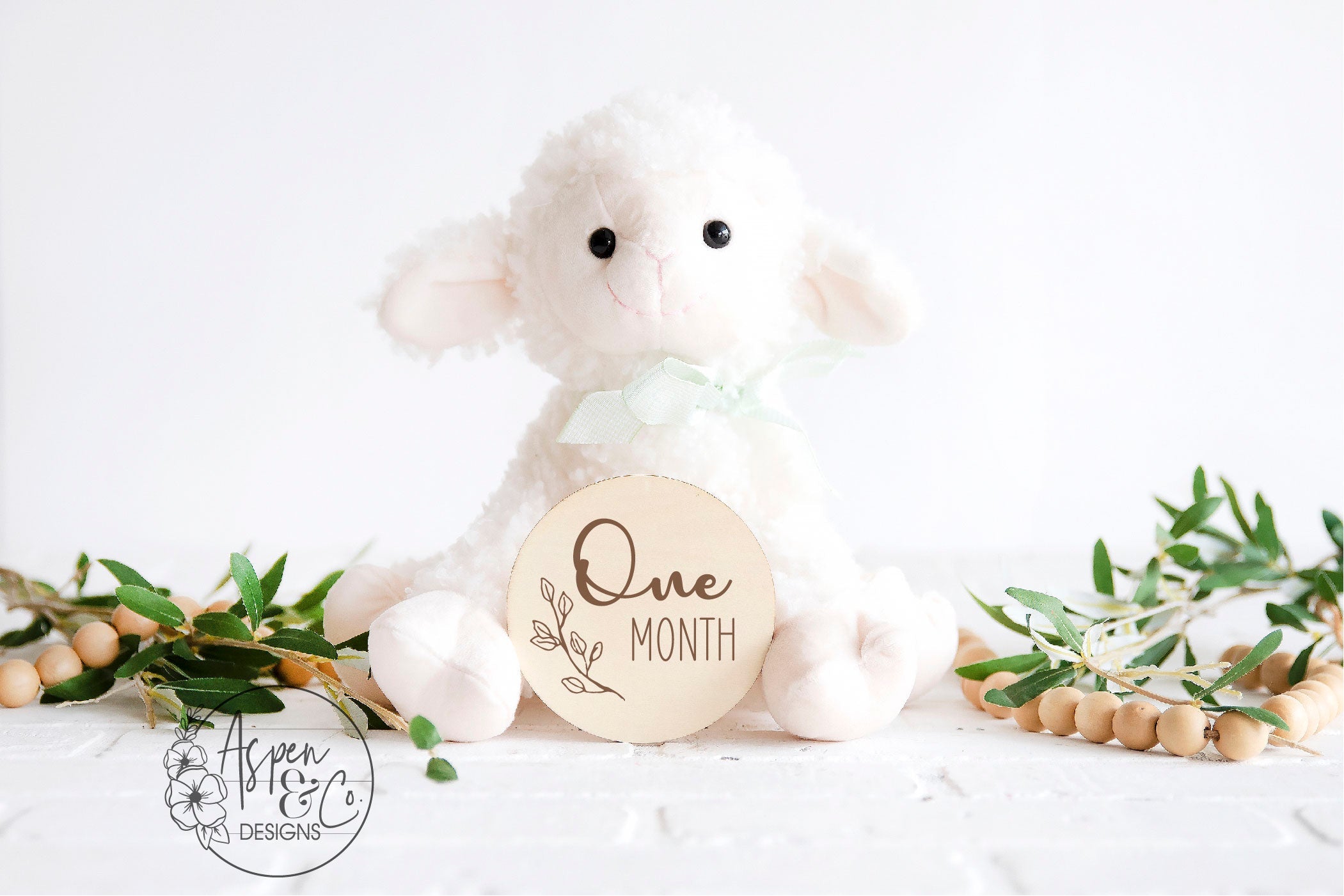 Baby Monthly Milestone Markers - Aspen & Co Designs