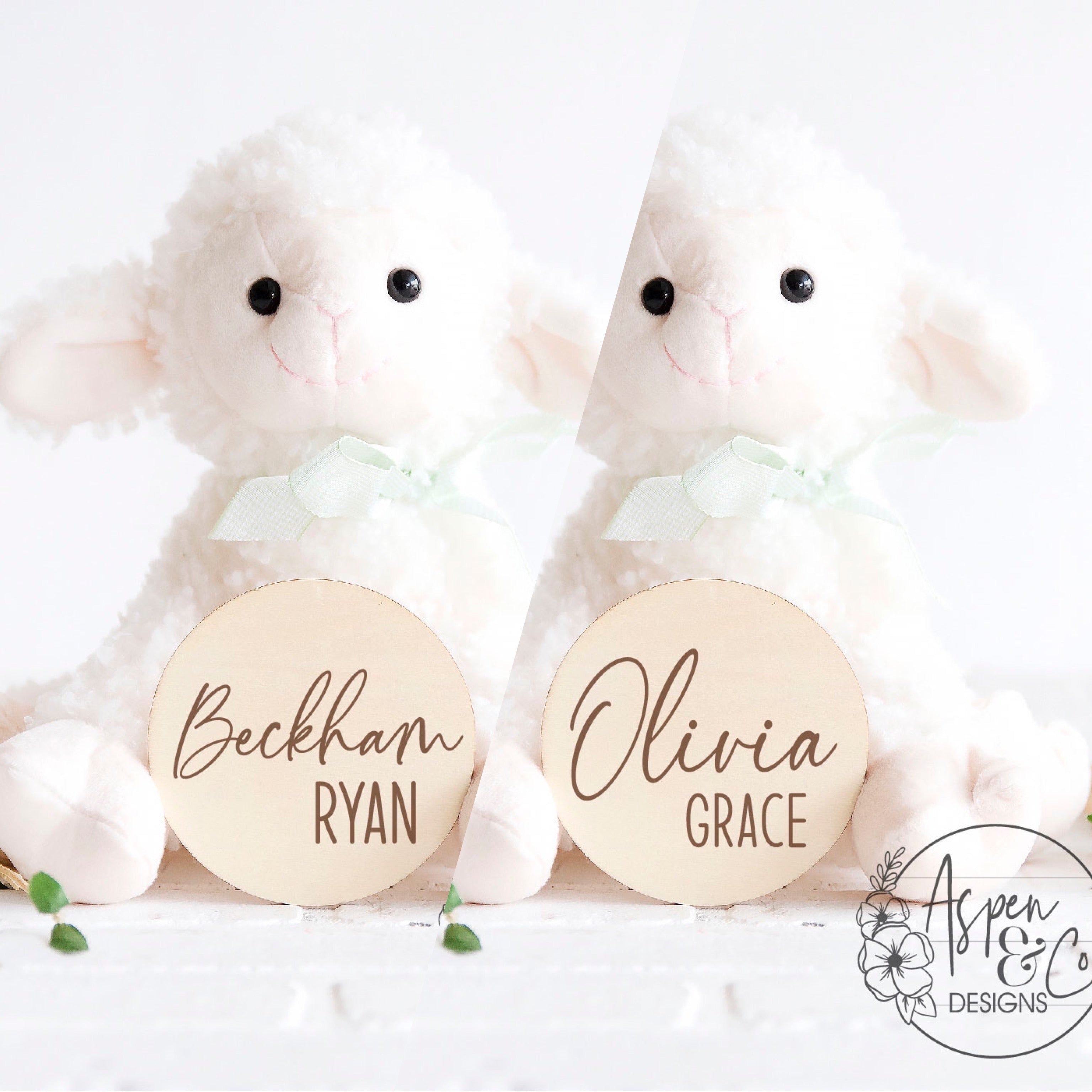 Birth Announcement - Name + Stats Card - Aspen & Co Designs